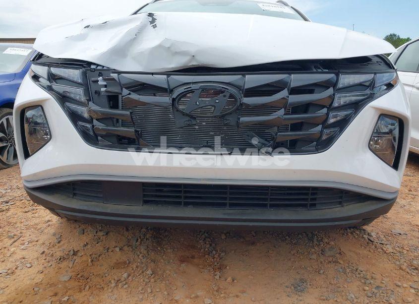 Photo 19 of 2024 Hyundai Tucson SEL (VIN 5NMJBCDE0RH301466)