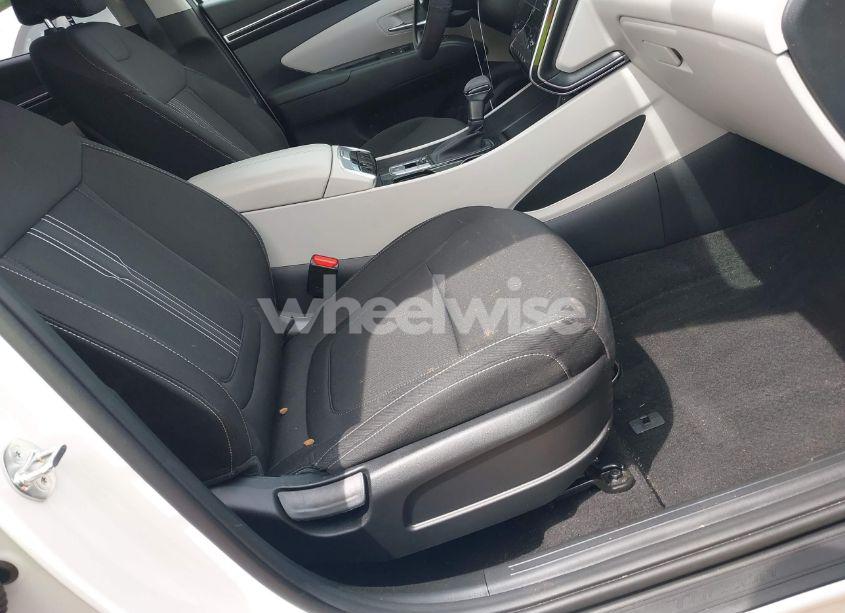 Photo 5 of 2024 Hyundai Tucson SEL (VIN 5NMJBCDE0RH301466)