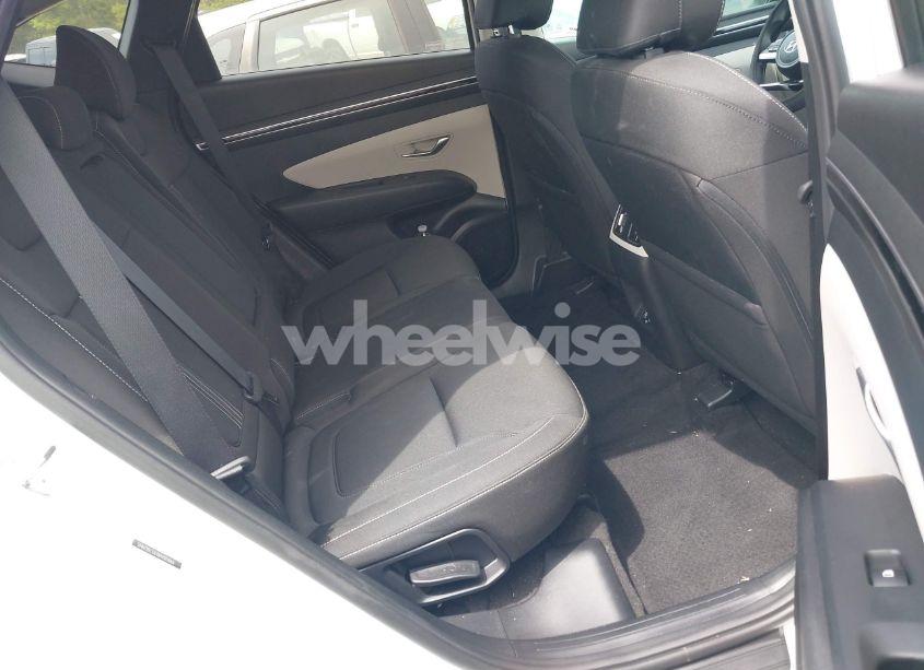Photo 8 of 2024 Hyundai Tucson SEL (VIN 5NMJBCDE0RH301466)