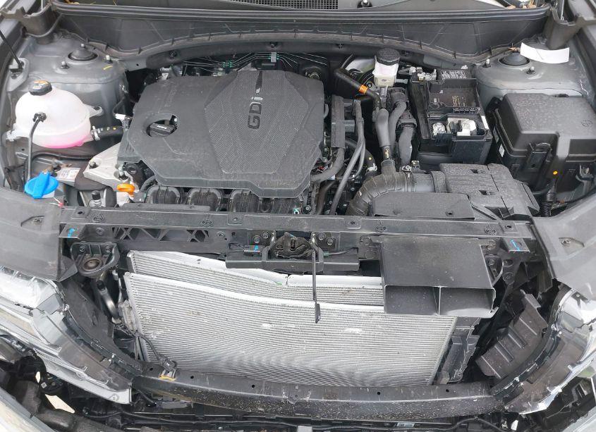 Photo 10 of 2024 Hyundai Tucson SEL (VIN 5NMJBCDE0RH307185)