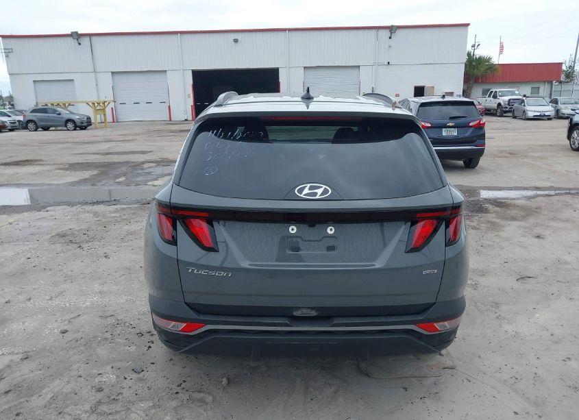 Photo 16 of 2024 Hyundai Tucson SEL (VIN 5NMJBCDE0RH307185)