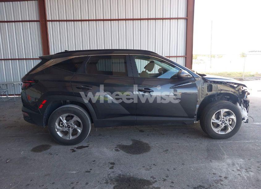 Photo 13 of 2024 Hyundai Tucson SEL (VIN 5NMJBCDE0RH356080)