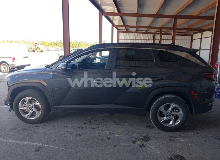 Photo 14 of 2024 Hyundai Tucson SEL (VIN 5NMJBCDE0RH356080)