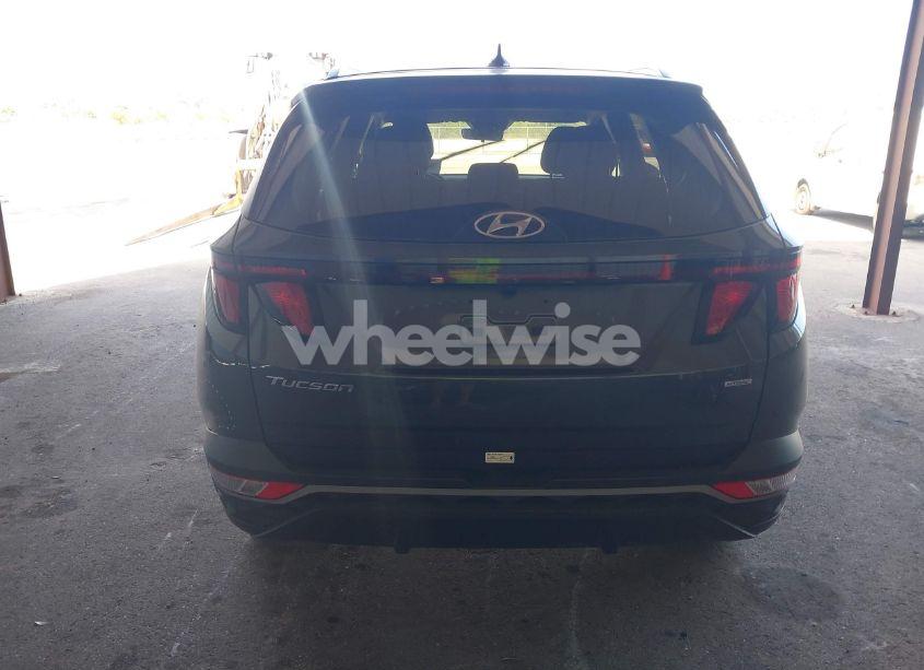 Photo 16 of 2024 Hyundai Tucson SEL (VIN 5NMJBCDE0RH356080)