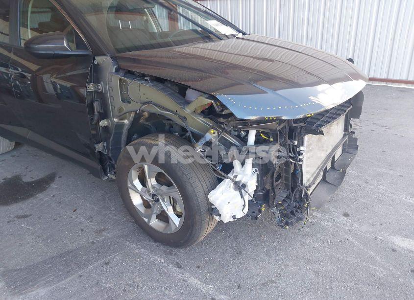 Photo 17 of 2024 Hyundai Tucson SEL (VIN 5NMJBCDE0RH356080)