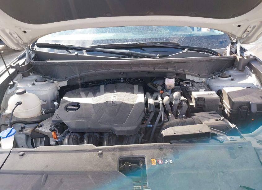 Photo 10 of 2024 Hyundai Tucson SEL (VIN 5NMJBCDE0RH356712)