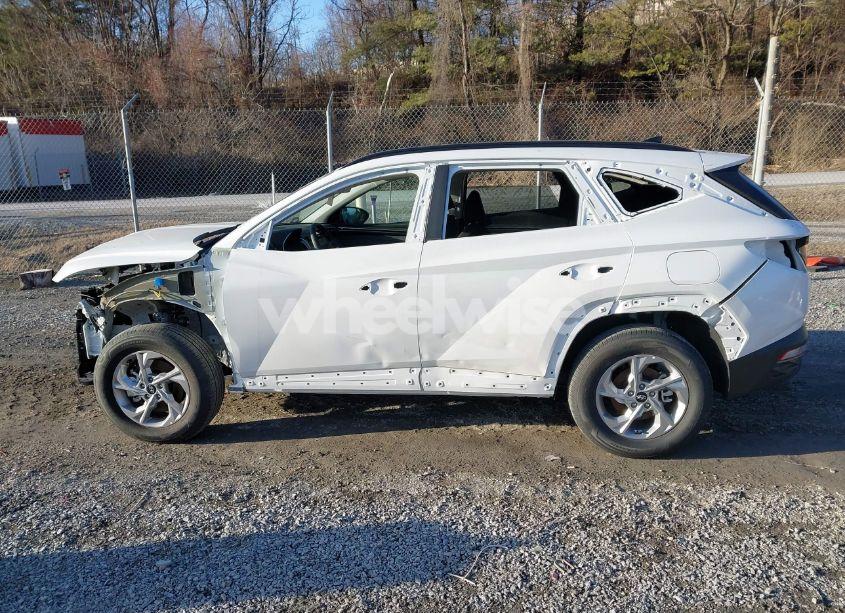 Photo 14 of 2024 Hyundai Tucson SEL (VIN 5NMJBCDE0RH373221)