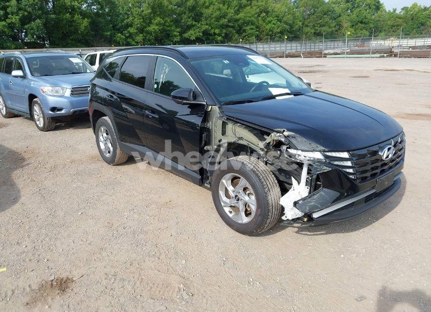 2024 Hyundai Tucson SEL (VIN 5NMJBCDE0RH396269) main photo