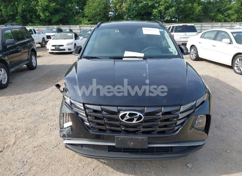 Photo 12 of 2024 Hyundai Tucson SEL (VIN 5NMJBCDE0RH396269)