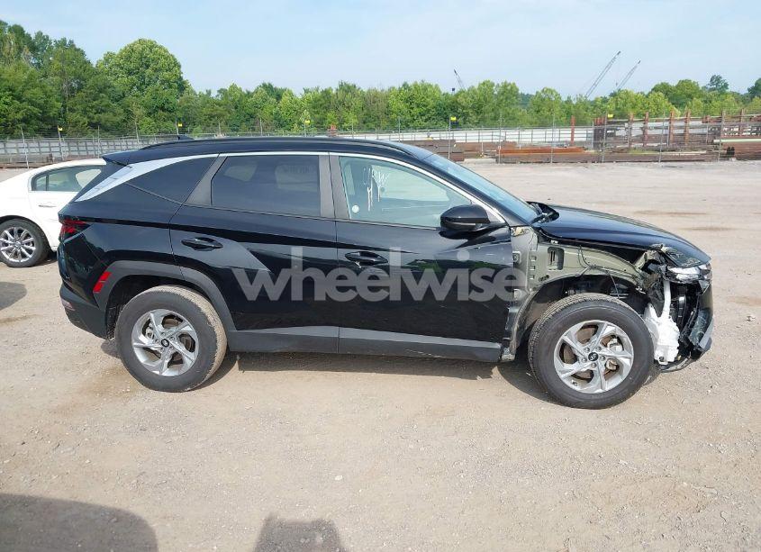 Photo 13 of 2024 Hyundai Tucson SEL (VIN 5NMJBCDE0RH396269)