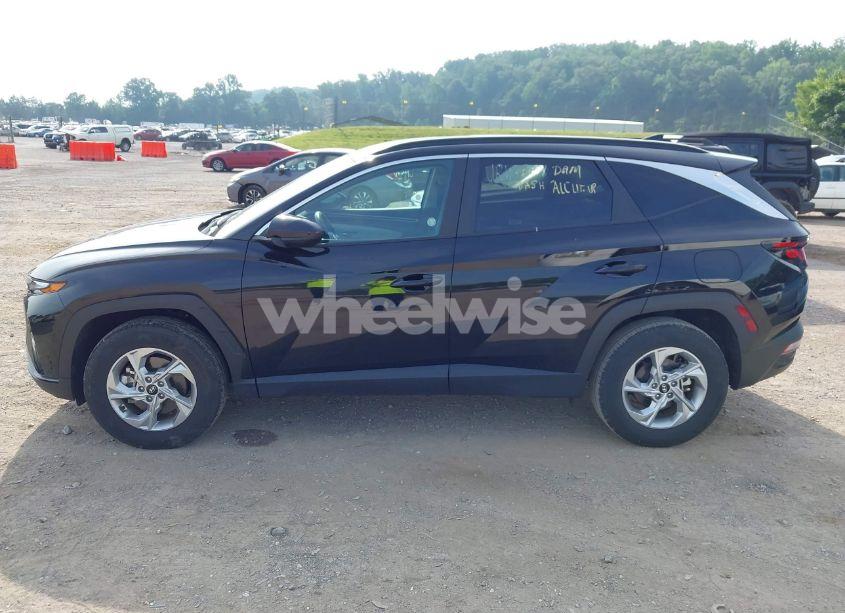Photo 14 of 2024 Hyundai Tucson SEL (VIN 5NMJBCDE0RH396269)