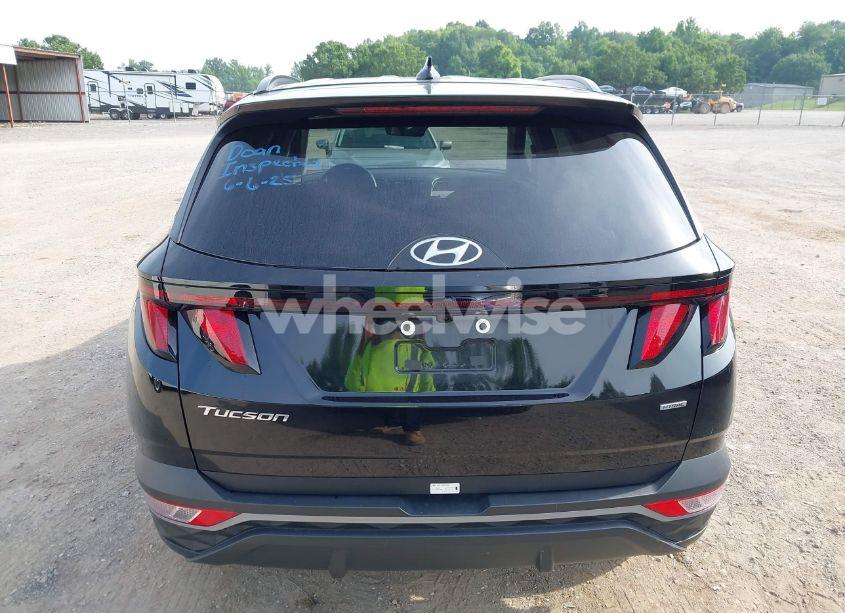 Photo 16 of 2024 Hyundai Tucson SEL (VIN 5NMJBCDE0RH396269)