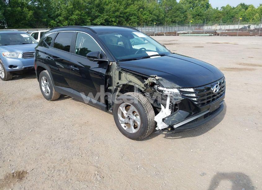 Photo 6 of 2024 Hyundai Tucson SEL (VIN 5NMJBCDE0RH396269)