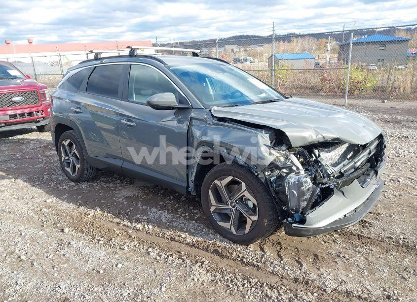 2024 Hyundai Tucson SEL (VIN 5NMJBCDE0RH423857) main photo