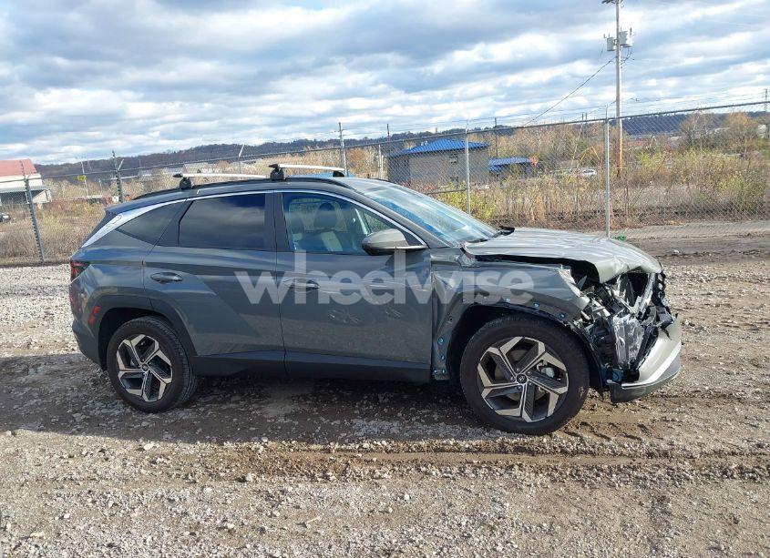 Photo 13 of 2024 Hyundai Tucson SEL (VIN 5NMJBCDE0RH423857)
