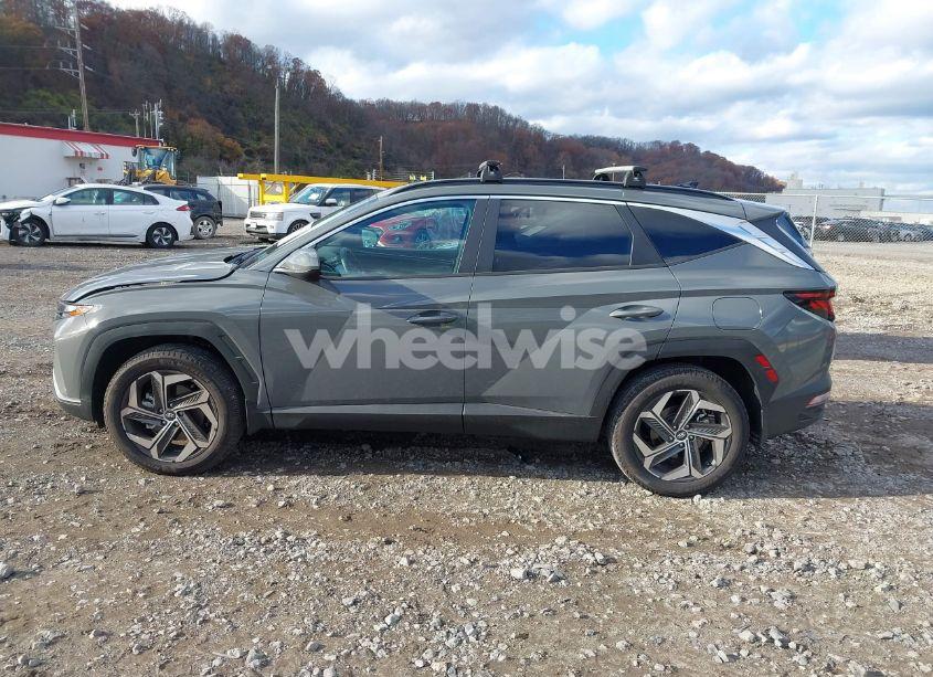 Photo 14 of 2024 Hyundai Tucson SEL (VIN 5NMJBCDE0RH423857)