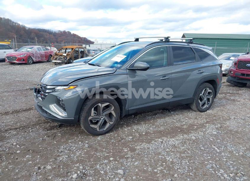 Photo 2 of 2024 Hyundai Tucson SEL (VIN 5NMJBCDE0RH423857)