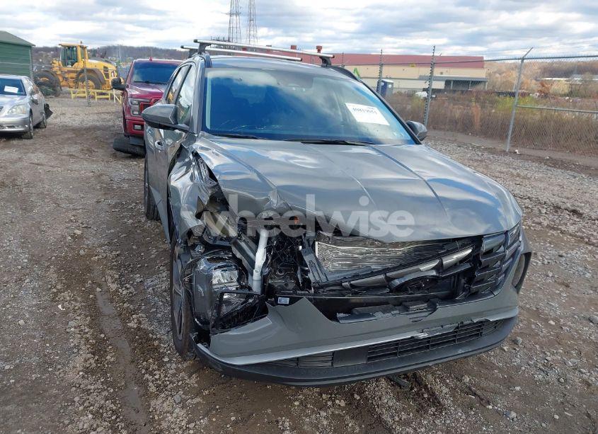 Photo 6 of 2024 Hyundai Tucson SEL (VIN 5NMJBCDE0RH423857)