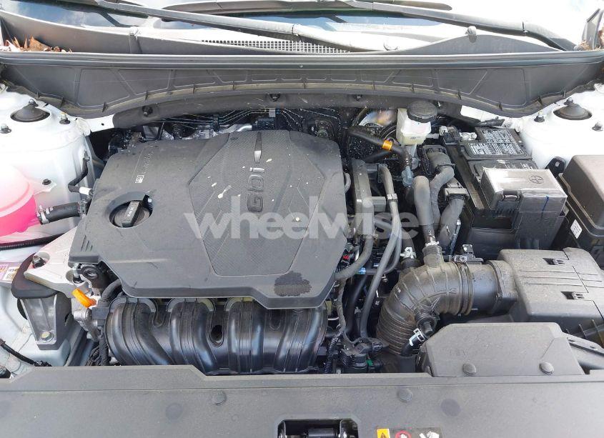 Photo 10 of 2025 Hyundai Tucson SEL (VIN 5NMJBCDE0SH450093)