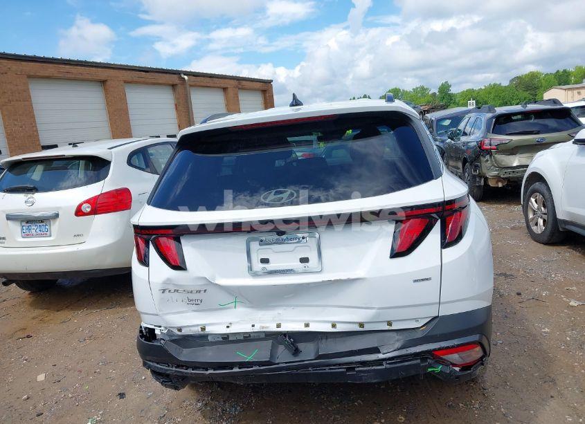 Photo 16 of 2025 Hyundai Tucson SEL (VIN 5NMJBCDE0SH450093)