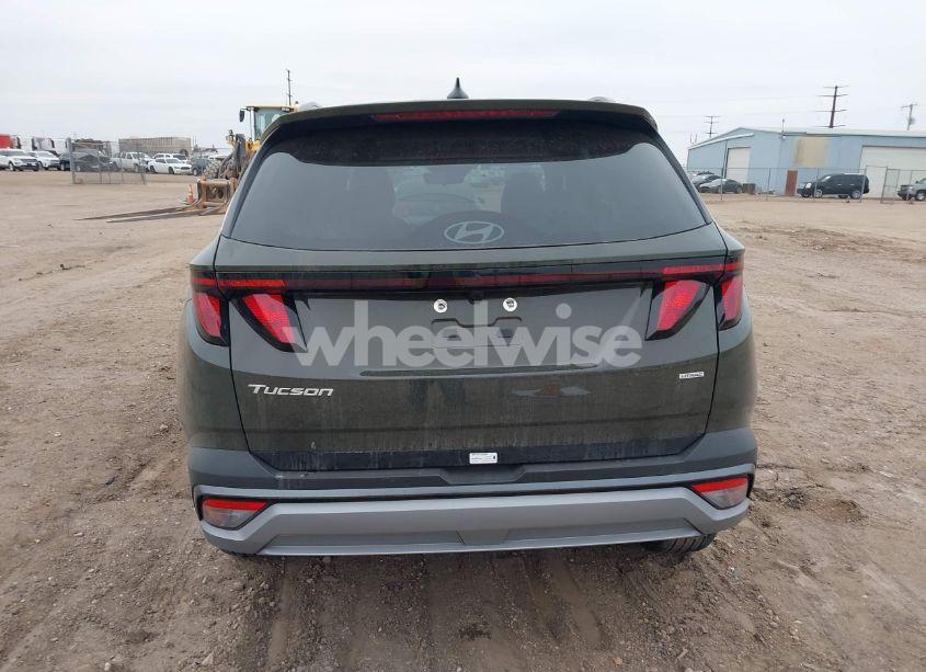 Photo 16 of 2025 Hyundai Tucson SEL (VIN 5NMJBCDE0SH479237)