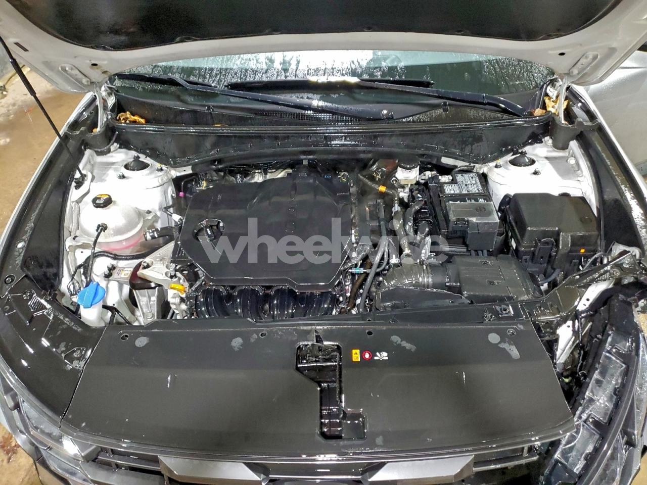 Photo 12 of 2025 HYUNDAI TUCSON SEL (VIN 5NMJBCDE0SH492330)