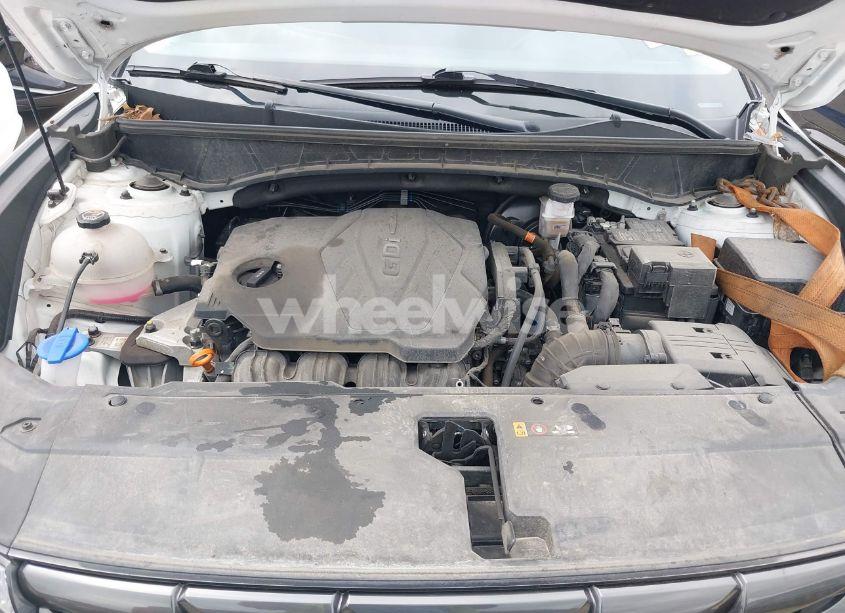 Photo 10 of 2024 Hyundai Tucson SEL (VIN 5NMJBCDE1RH295953)