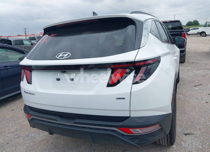 Photo 16 of 2024 Hyundai Tucson SEL (VIN 5NMJBCDE1RH295953)