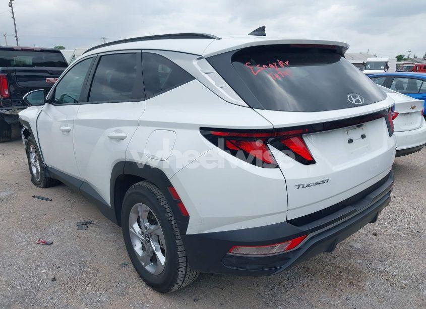 Photo 3 of 2024 Hyundai Tucson SEL (VIN 5NMJBCDE1RH295953)