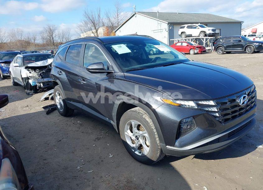 2024 Hyundai Tucson SEL (VIN 5NMJBCDE1RH322990) main photo