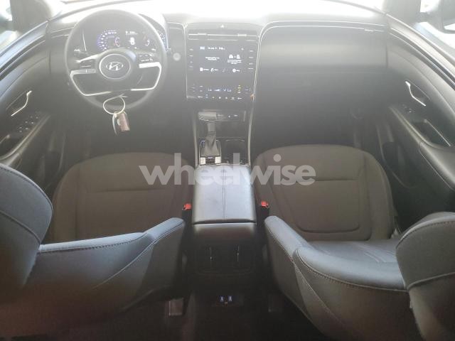 Photo 13 of 2024 HYUNDAI TUCSON SEL (VIN 5NMJBCDE1RH337456)