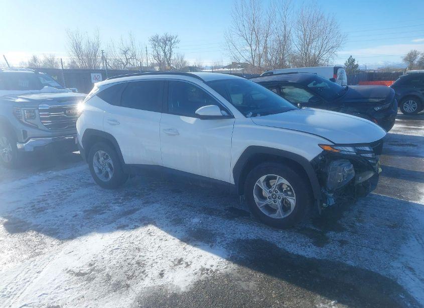 2024 Hyundai Tucson SEL (VIN 5NMJBCDE1RH353821) main photo