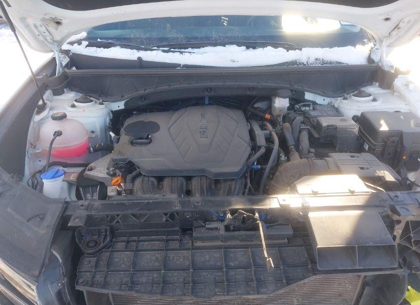 Photo 10 of 2024 Hyundai Tucson SEL (VIN 5NMJBCDE1RH353821)