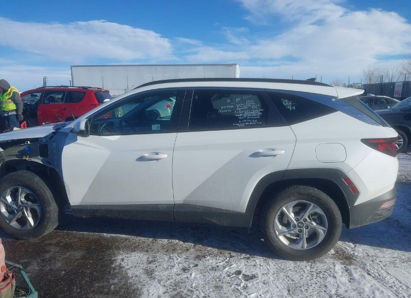Photo 14 of 2024 Hyundai Tucson SEL (VIN 5NMJBCDE1RH353821)