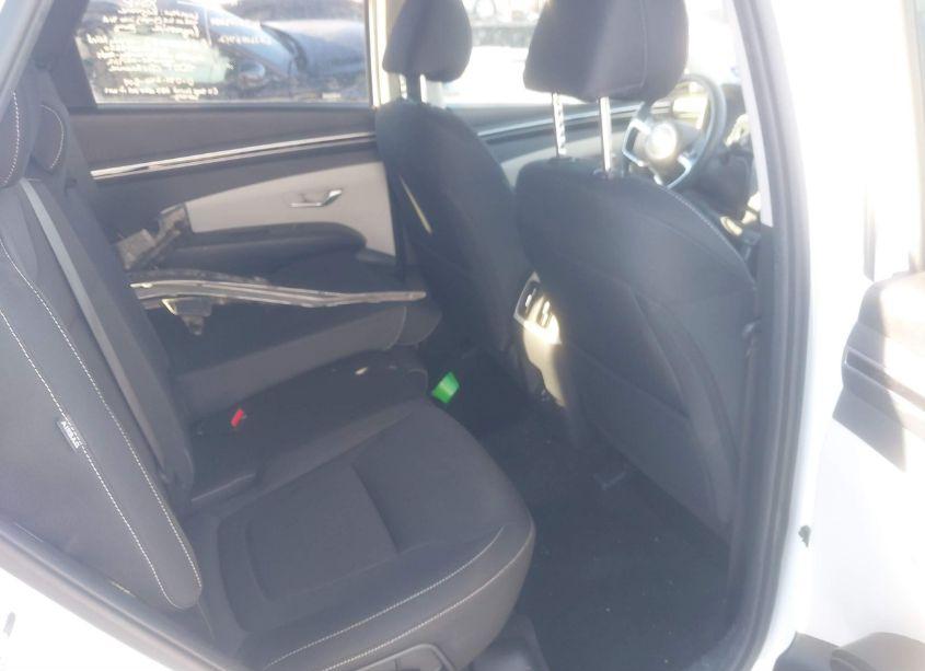 Photo 8 of 2024 Hyundai Tucson SEL (VIN 5NMJBCDE1RH353821)