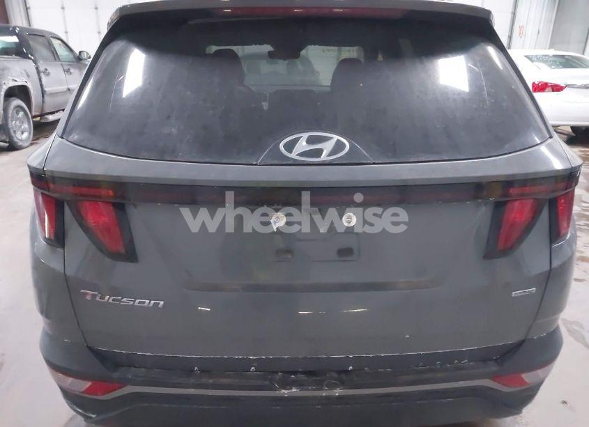 Photo 17 of 2024 Hyundai Tucson SEL (VIN 5NMJBCDE1RH426539)