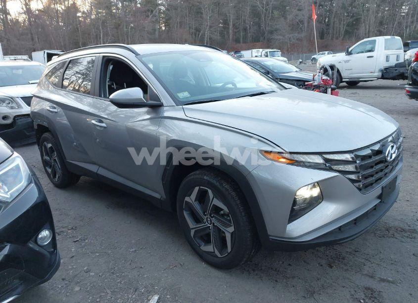 2024 Hyundai Tucson SEL (VIN 5NMJBCDE1RH428534) main photo