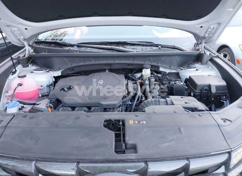 Photo 10 of 2024 Hyundai Tucson SEL (VIN 5NMJBCDE1RH428534)