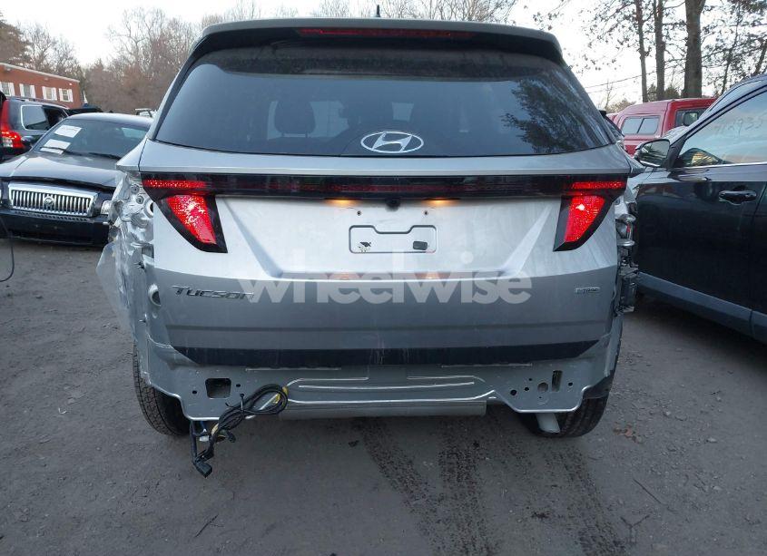 Photo 6 of 2024 Hyundai Tucson SEL (VIN 5NMJBCDE1RH428534)