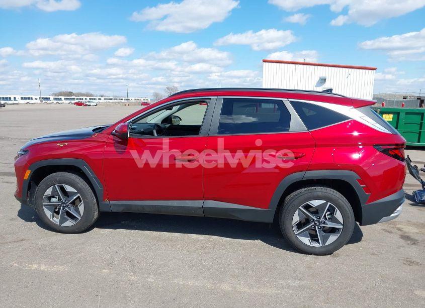 Photo 15 of 2025 Hyundai Tucson SEL (VIN 5NMJBCDE1SH451558)