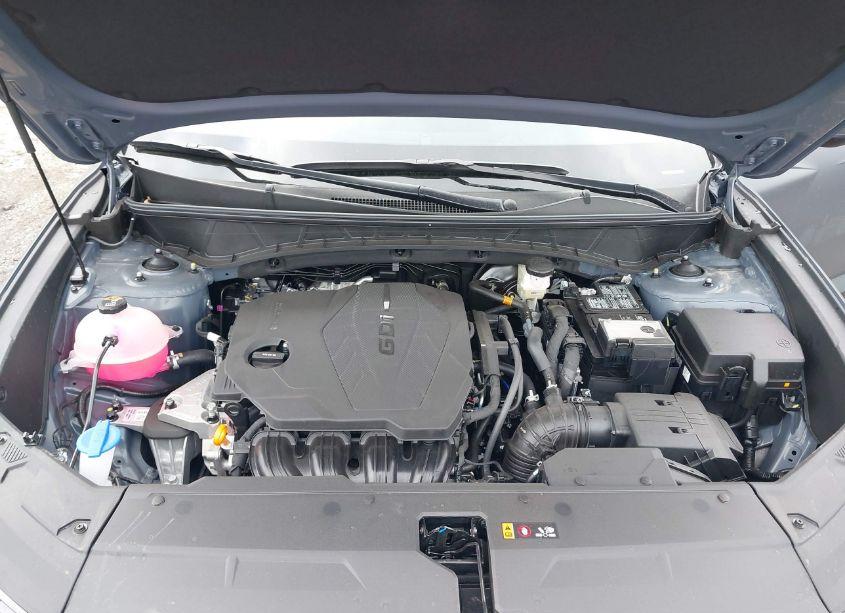 Photo 10 of 2025 Hyundai Tucson SEL (VIN 5NMJBCDE1SH451639)