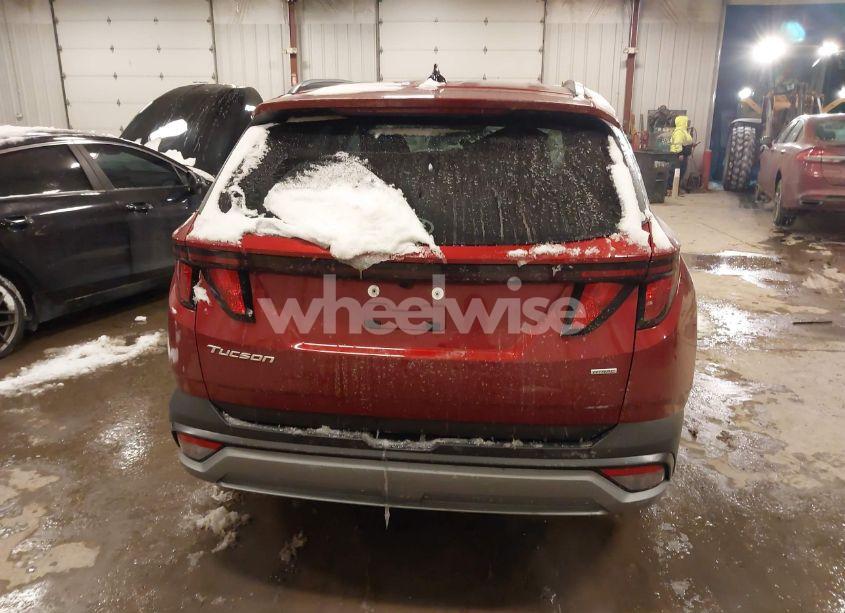 Photo 16 of 2025 Hyundai Tucson SEL (VIN 5NMJBCDE1SH469588)