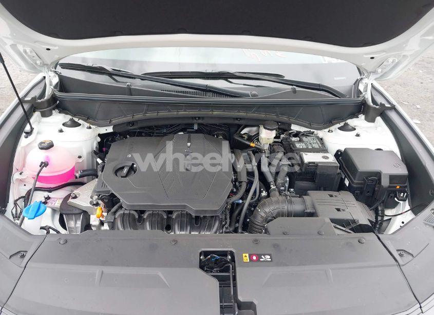 Photo 10 of 2025 Hyundai Tucson SEL (VIN 5NMJBCDE1SH542328)