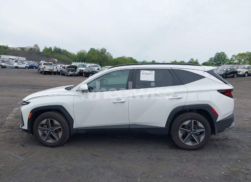 Photo 14 of 2025 Hyundai Tucson SEL (VIN 5NMJBCDE1SH542328)