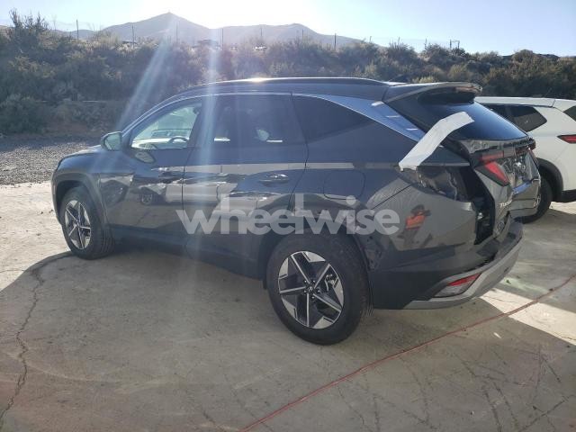 Photo 12 of 2025 HYUNDAI TUCSON SEL (VIN 5NMJBCDE1SH562823)