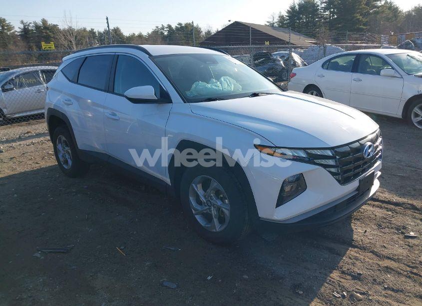 2024 Hyundai Tucson SEL (VIN 5NMJBCDE2RH315126) main photo