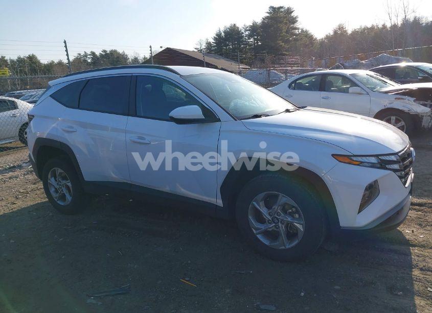 Photo 14 of 2024 Hyundai Tucson SEL (VIN 5NMJBCDE2RH315126)