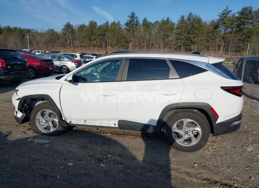 Photo 15 of 2024 Hyundai Tucson SEL (VIN 5NMJBCDE2RH315126)