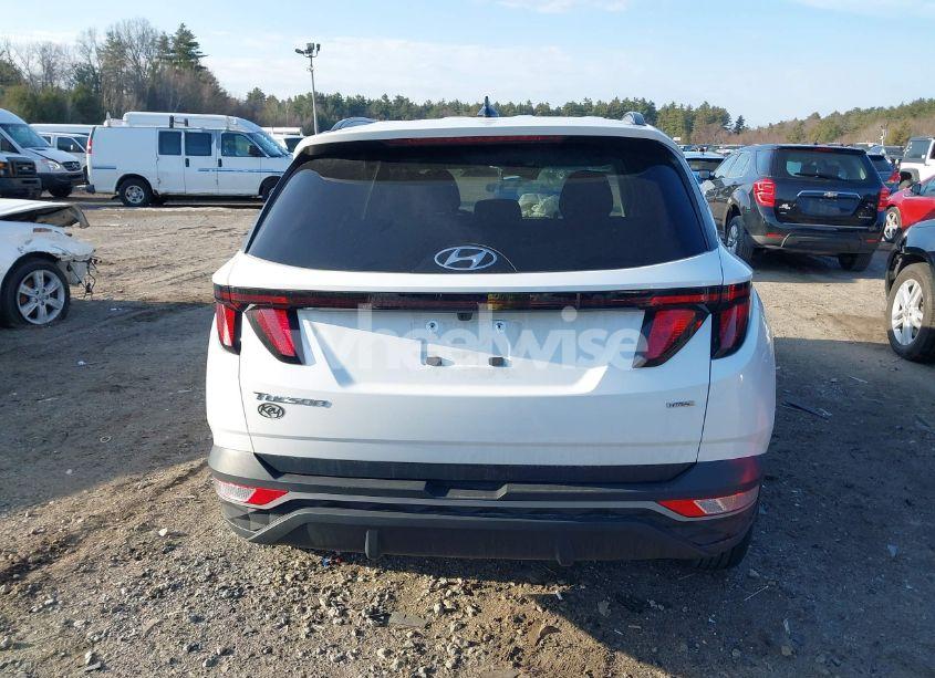 Photo 17 of 2024 Hyundai Tucson SEL (VIN 5NMJBCDE2RH315126)