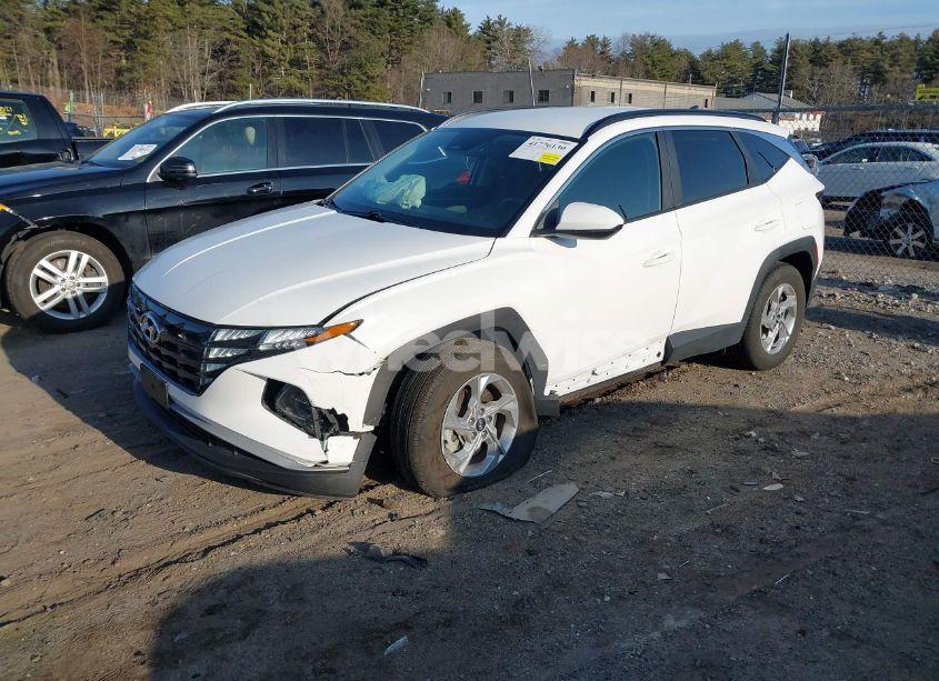 Photo 2 of 2024 Hyundai Tucson SEL (VIN 5NMJBCDE2RH315126)